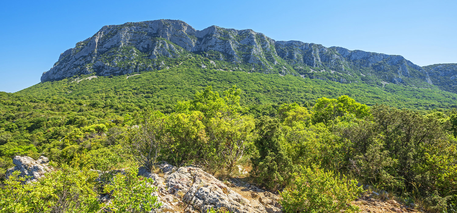 GR de Pays Tours dans le Grand Pic Saint-Loup - Tour des vignes au causse